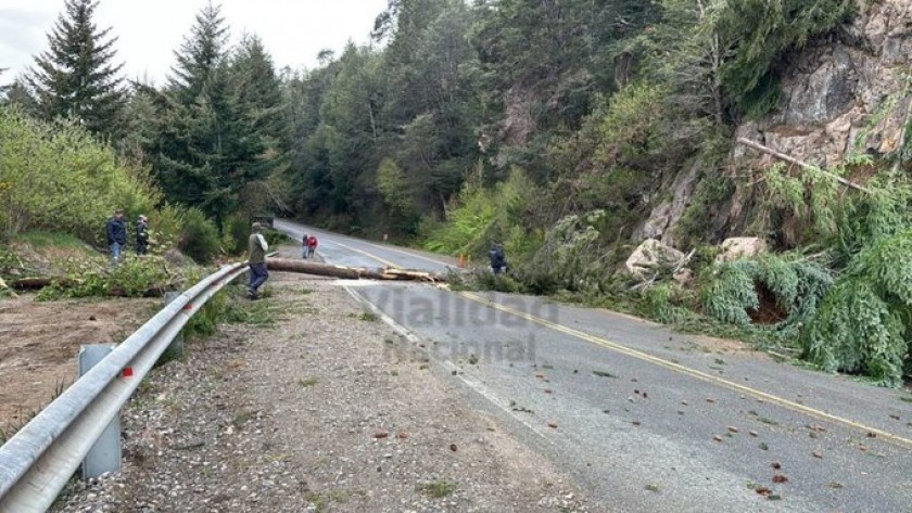 Corte total en la Ruta 40 tras un desmoronamiento en la zona de Villa La Angostura
